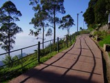 Kodaikanal Coakers Walk
